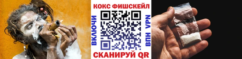 КОКАИН Fish Scale  Купить где  Ессентукская 