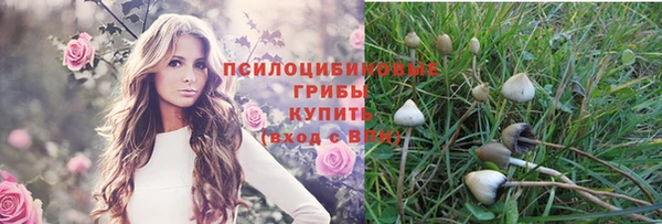 метадон Медвежьегорск